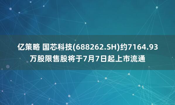 亿策略 国芯科技(688262.SH)约7164.93万股限售股将于7月7日起上市流通