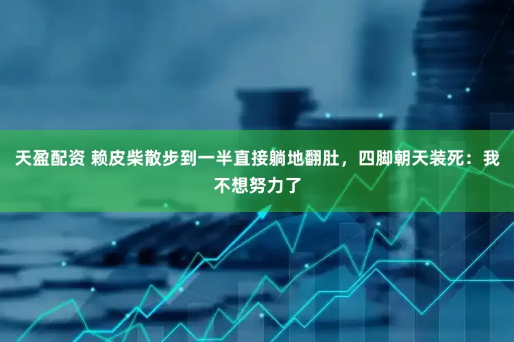 天盈配资 赖皮柴散步到一半直接躺地翻肚，四脚朝天装死：我不想努力了