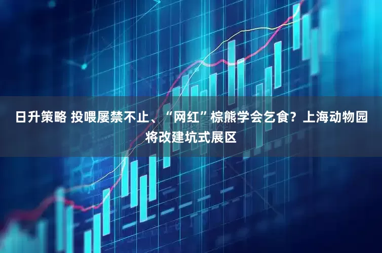 日升策略 投喂屡禁不止、“网红”棕熊学会乞食？上海动物园将改建坑式展区