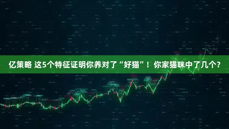亿策略 这5个特征证明你养对了“好猫”！你家猫咪中了几个？