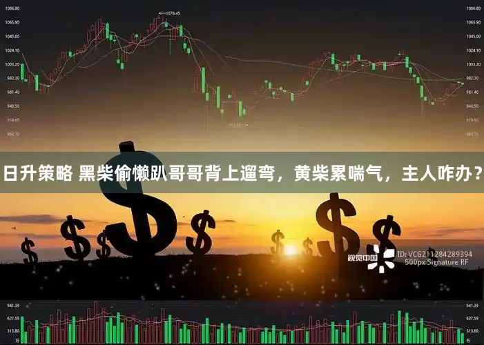 日升策略 黑柴偷懒趴哥哥背上遛弯，黄柴累喘气，主人咋办？
